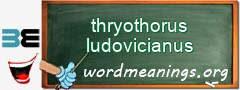WordMeaning blackboard for thryothorus ludovicianus